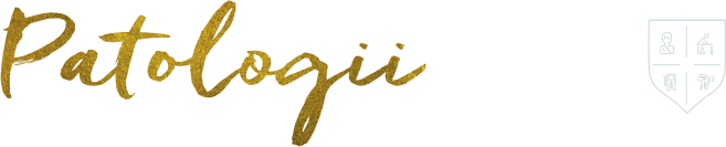 Recuperare Premium Wellness